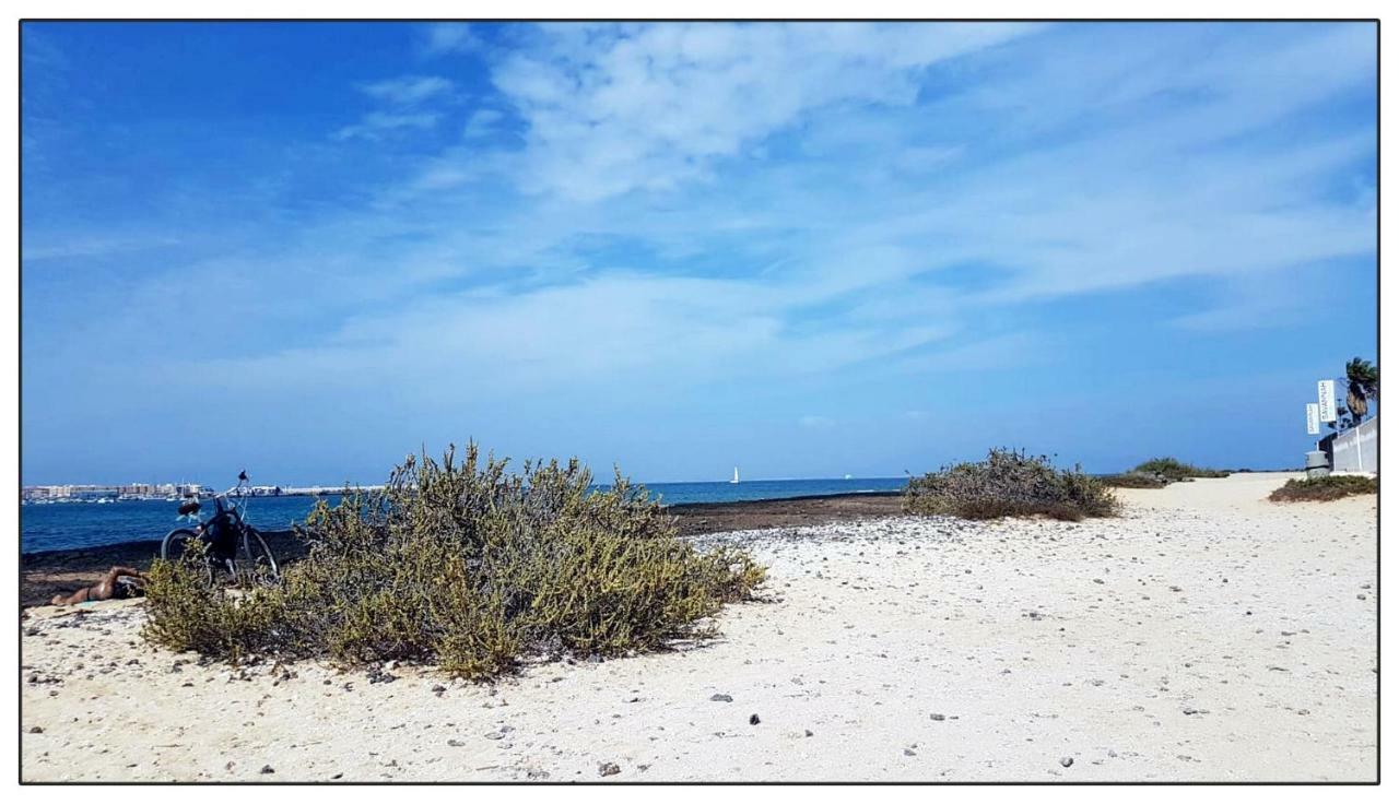 Lur De La Playa Leilighet Corralejo Eksteriør bilde